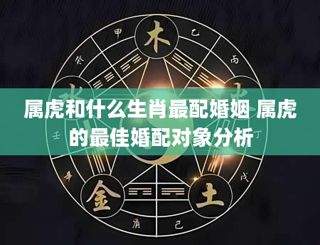 属虎和什么生肖最配婚姻 属虎的最佳婚配对象分析