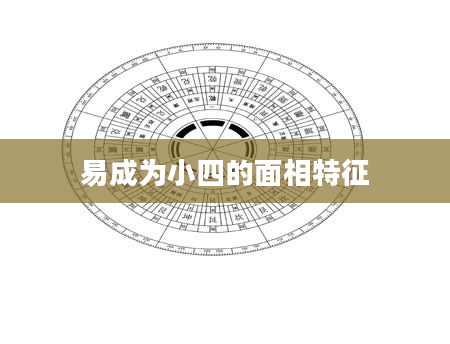 易成为小四的面相特征