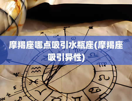 摩羯座哪点吸引水瓶座(摩羯座吸引异性)