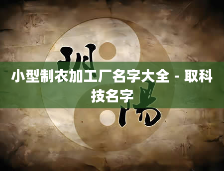 小型制衣加工厂名字大全 - 取科技名字