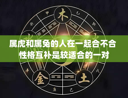 属虎和属兔的人在一起合不合 性格互补是较适合的一对