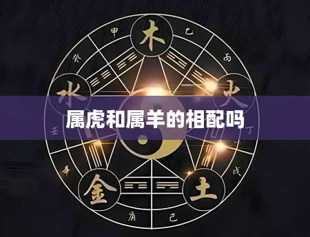 属虎和属羊的相配吗