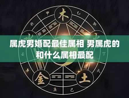 属虎男婚配最佳属相 男属虎的和什么属相最配