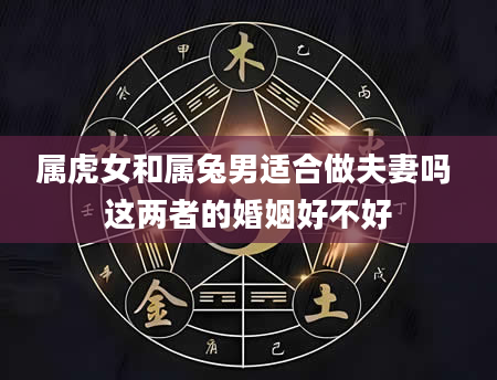 属虎女和属兔男适合做夫妻吗 这两者的婚姻好不好