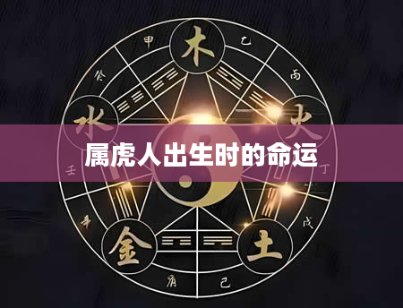 属虎人出生时的命运
