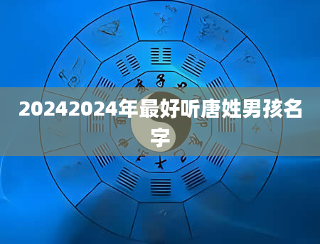 20242024年最好听唐姓男孩名字
