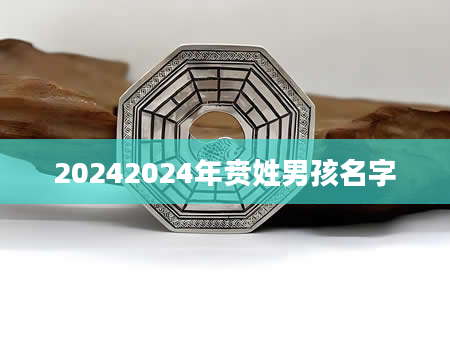 20242024年贲姓男孩名字