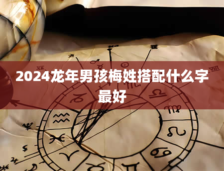 2024龙年男孩梅姓搭配什么字最好