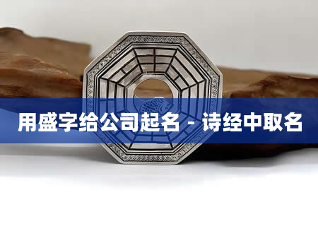 用盛字给公司起名 - 诗经中取名