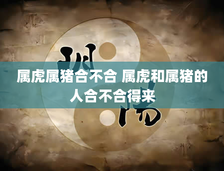 属虎属猪合不合 属虎和属猪的人合不合得来