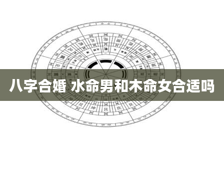 八字合婚 水命男和木命女合适吗