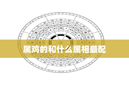 属鸡的和什么属相最配