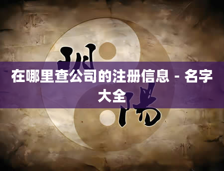 在哪里查公司的注册信息 - 名字大全