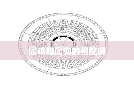 属鸡和属狗的相配吗