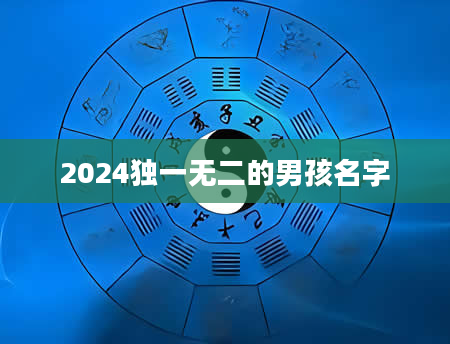 2024独一无二的男孩名字
