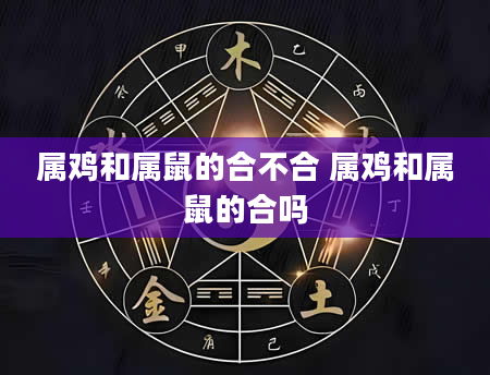 属鸡和属鼠的合不合 属鸡和属鼠的合吗