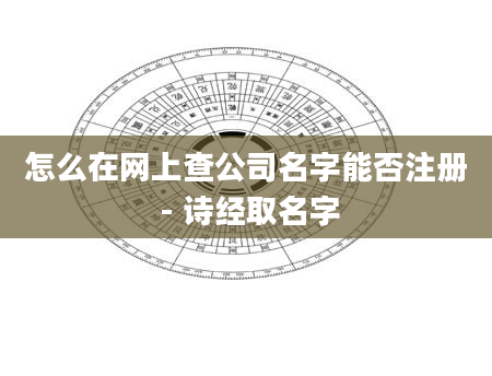 怎么在网上查公司名字能否注册 - 诗经取名字