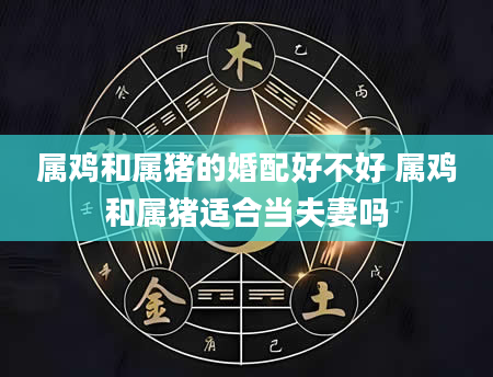 属鸡和属猪的婚配好不好 属鸡和属猪适合当夫妻吗