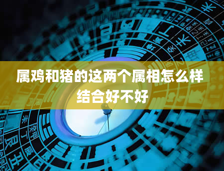 属鸡和猪的这两个属相怎么样 结合好不好