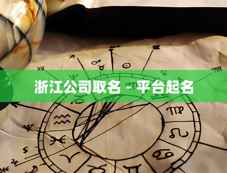 浙江公司取名 - 平台起名