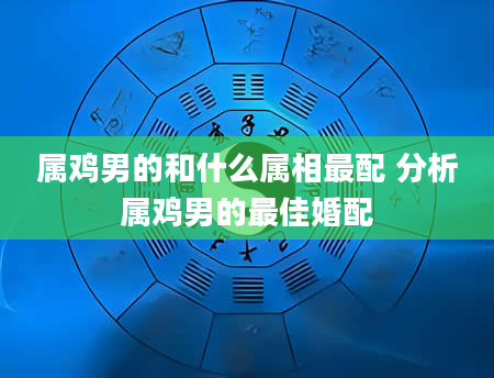 属鸡男的和什么属相最配 分析属鸡男的最佳婚配