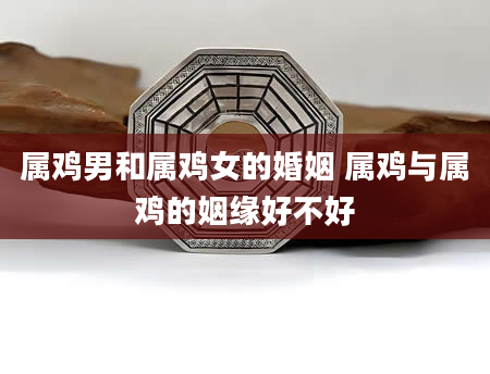 属鸡男和属鸡女的婚姻 属鸡与属鸡的姻缘好不好