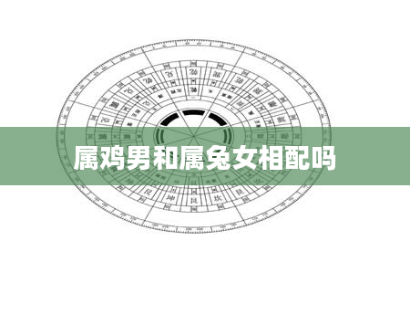 属鸡男和属兔女相配吗