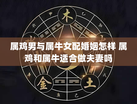 属鸡男与属牛女配婚姻怎样 属鸡和属牛适合做夫妻吗