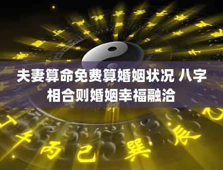 夫妻算命免费算婚姻状况 八字相合则婚姻幸福融洽