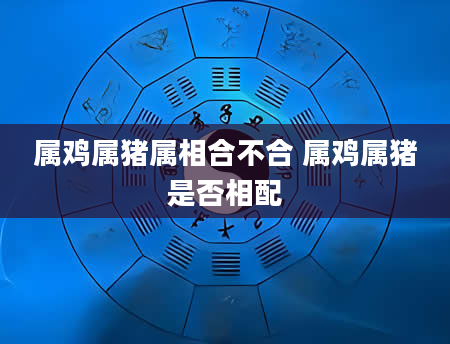 属鸡属猪属相合不合 属鸡属猪是否相配