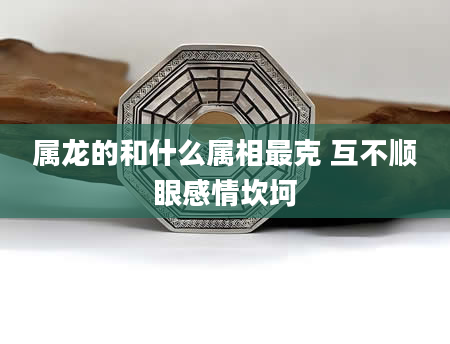 属龙的和什么属相最克 互不顺眼感情坎坷
