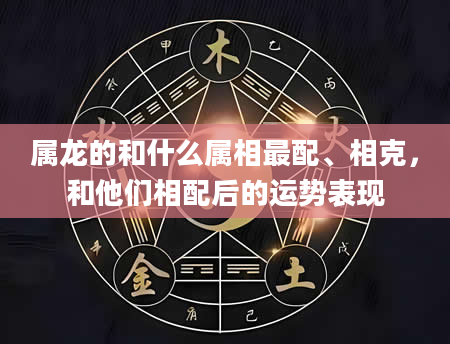 属龙的和什么属相最配、相克，和他们相配后的运势表现