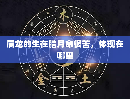 属龙的生在腊月命很苦，体现在哪里