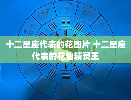 十二星座代表的花图片 十二星座代表的花仙精灵王