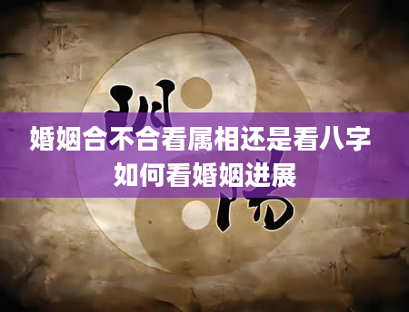 婚姻合不合看属相还是看八字 如何看婚姻进展