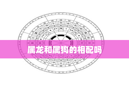 属龙和属狗的相配吗