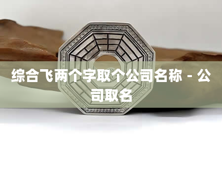 综合飞两个字取个公司名称 - 公司取名