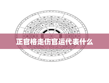 正官格走伤官运代表什么