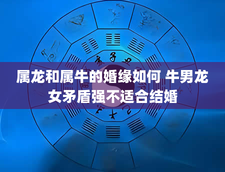 属龙和属牛的婚缘如何 牛男龙女矛盾强不适合结婚