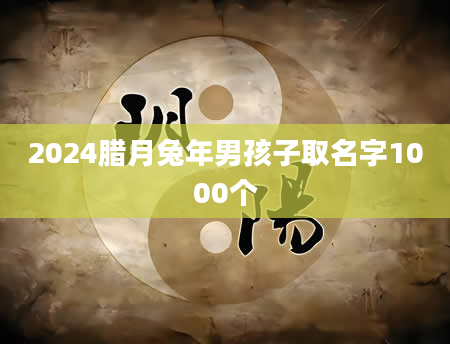 2024腊月兔年男孩子取名字1000个