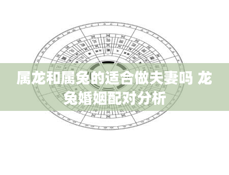 属龙和属兔的适合做夫妻吗 龙兔婚姻配对分析