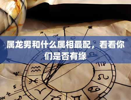 属龙男和什么属相最配，看看你们是否有缘