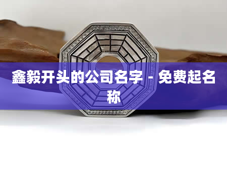 鑫毅开头的公司名字 - 免费起名称