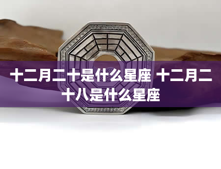 十二月二十是什么星座 十二月二十八是什么星座