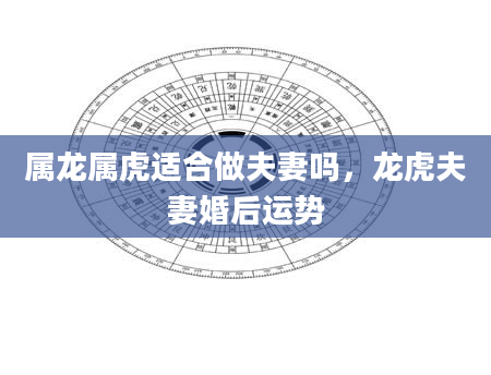 属龙属虎适合做夫妻吗，龙虎夫妻婚后运势