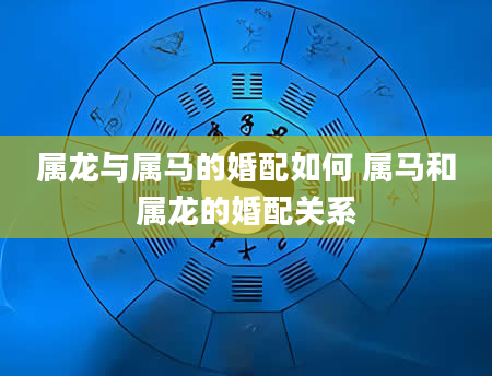 属龙与属马的婚配如何 属马和属龙的婚配关系