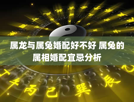 属龙与属兔婚配好不好 属兔的属相婚配宜忌分析