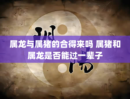 属龙与属猪的合得来吗 属猪和属龙是否能过一辈子