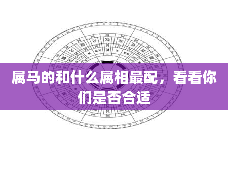 属马的和什么属相最配，看看你们是否合适