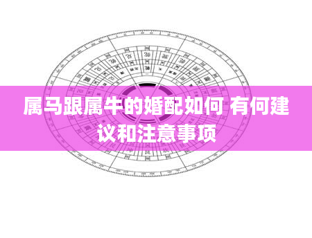 属马跟属牛的婚配如何 有何建议和注意事项